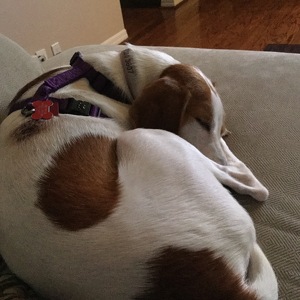 Shana McCullough-Downing